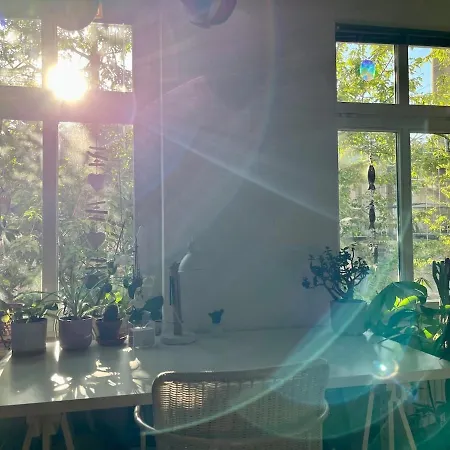 Gemuetlicher Altbau Im Herzen Von Апартаменты *